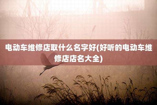 电动车维修店取什么名字好(好听的电动车维修店店名大全)