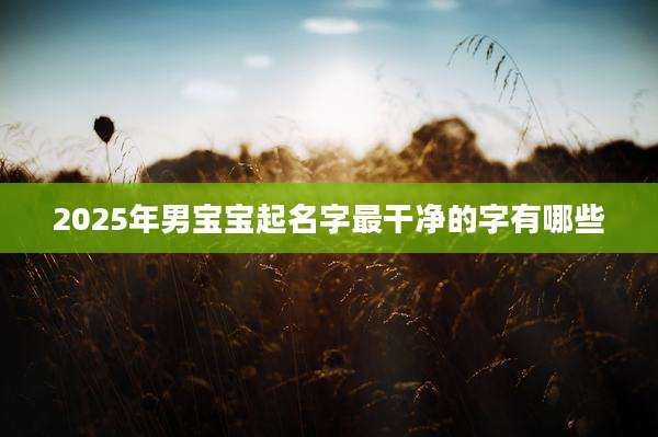 2025年男宝宝起名字最干净的字有哪些