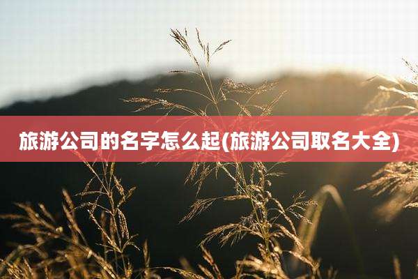 旅游公司的名字怎么起(旅游公司取名大全)