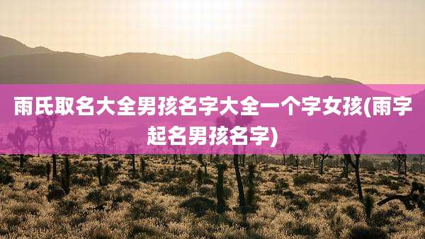 雨氏取名大全男孩名字大全一个字女孩(雨字起名男孩名字)