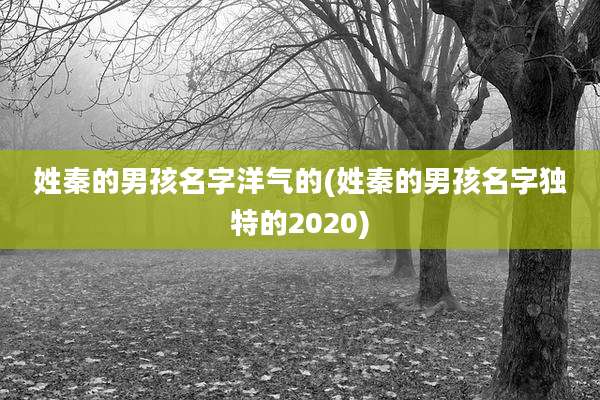 姓秦的男孩名字洋气的(姓秦的男孩名字独特的2020)