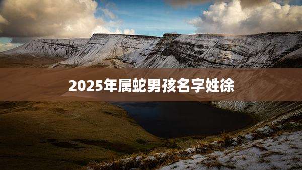 2025年属蛇男孩名字姓徐