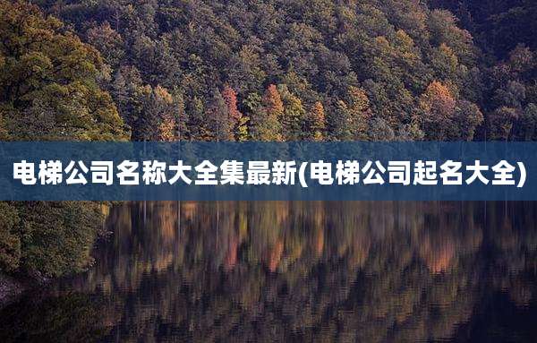 电梯公司名称大全集最新(电梯公司起名大全)
