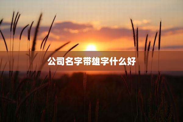 公司名字带雄字什么好