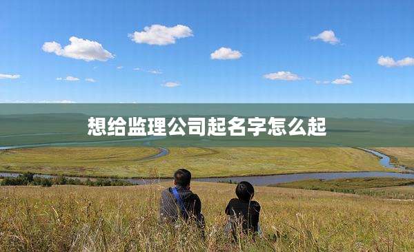 想给监理公司起名字怎么起