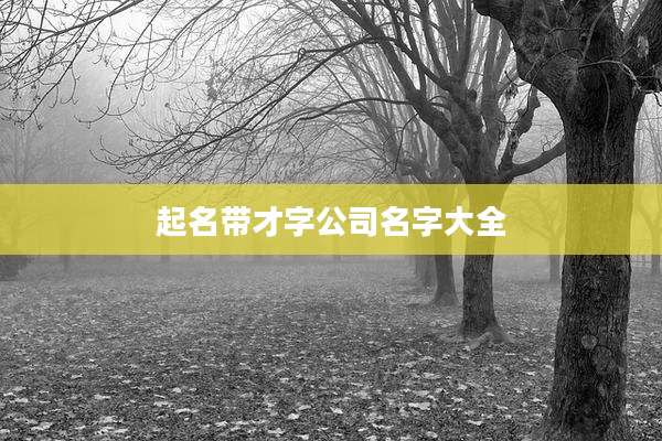 起名带才字公司名字大全
