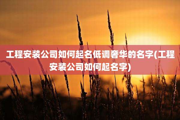 工程安装公司如何起名低调奢华的名字(工程安装公司如何起名字)