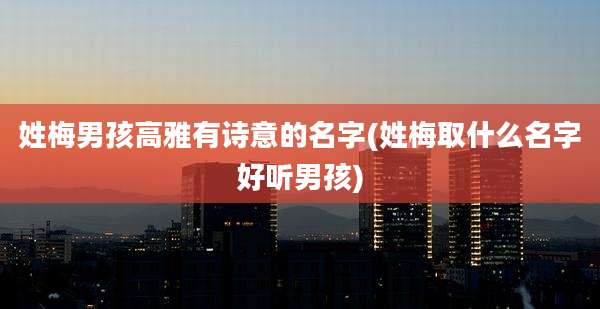 姓梅男孩高雅有诗意的名字(姓梅取什么名字好听男孩)