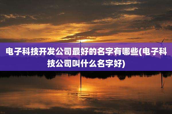 电子科技开发公司最好的名字有哪些(电子科技公司叫什么名字好)