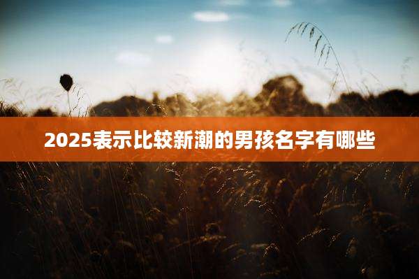2025表示比较新潮的男孩名字有哪些