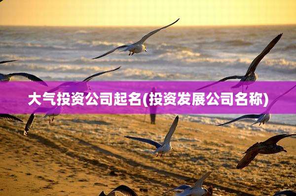 大气投资公司起名(投资发展公司名称)