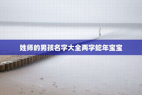 姓师的男孩名字大全两字蛇年宝宝