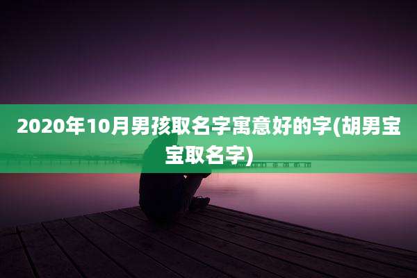 2020年10月男孩取名字寓意好的字(胡男宝宝取名字)