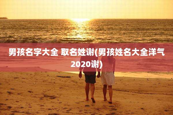 男孩名字大全 取名姓谢(男孩姓名大全洋气2020谢)