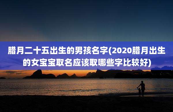 腊月二十五出生的男孩名字(2020腊月出生的女宝宝取名应该取哪些字比较好)