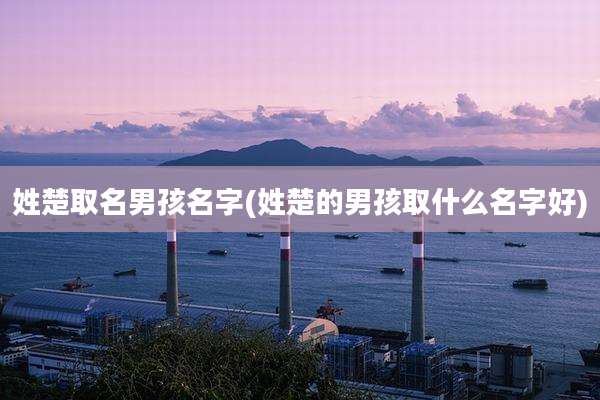 姓楚取名男孩名字(姓楚的男孩取什么名字好)