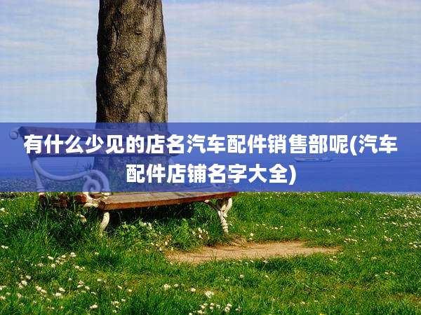 有什么少见的店名汽车配件销售部呢(汽车配件店铺名字大全)