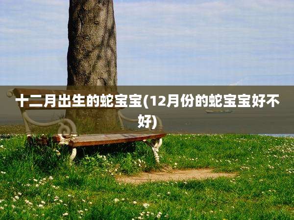 十二月出生的蛇宝宝(12月份的蛇宝宝好不好)