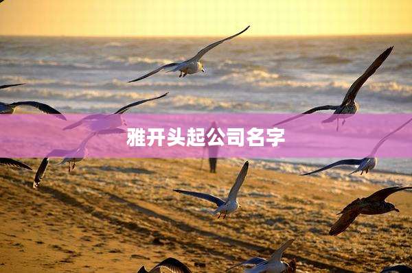 雅开头起公司名字