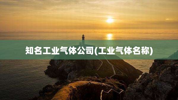 知名工业气体公司(工业气体名称)