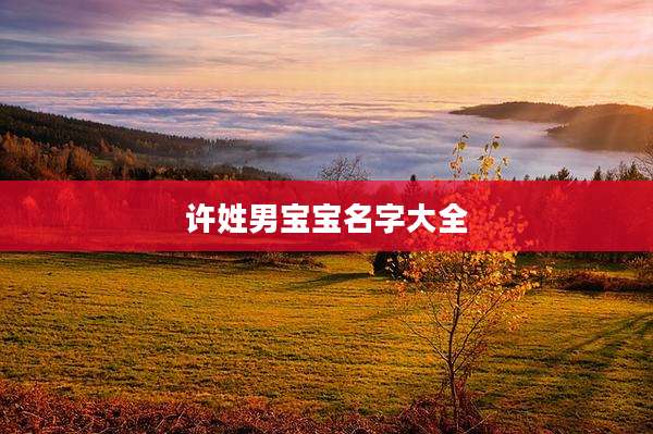 许姓男宝宝名字大全