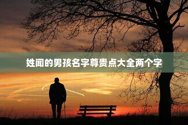 姓闻的男孩名字尊贵点大全两个字