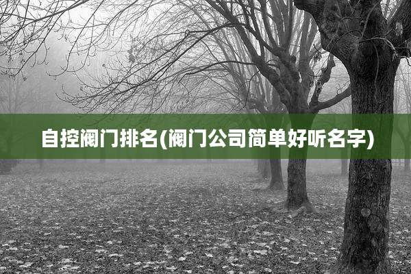 自控阀门排名(阀门公司简单好听名字)
