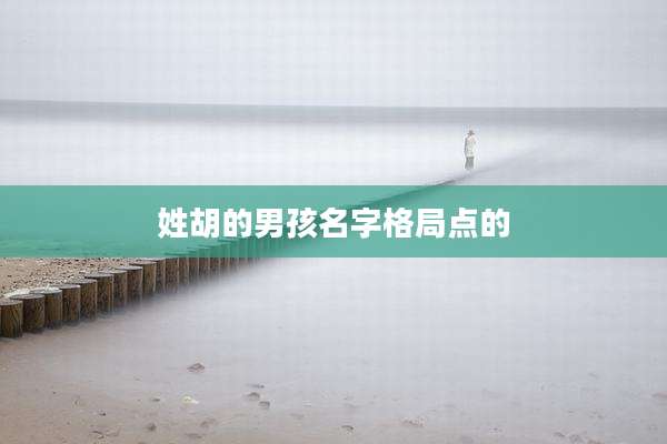 姓胡的男孩名字格局点的