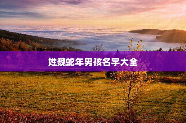 姓魏蛇年男孩名字大全