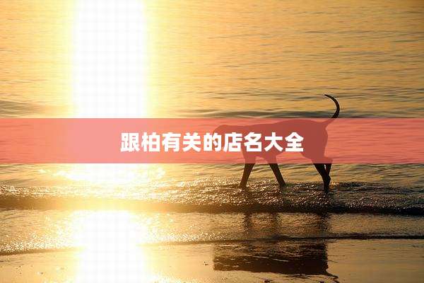跟柏有关的店名大全