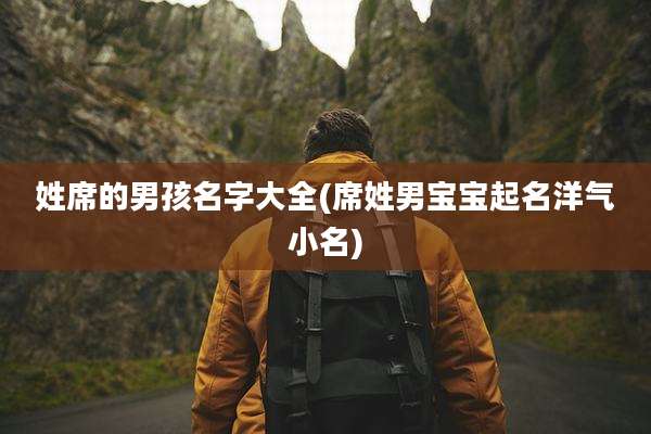 姓席的男孩名字大全(席姓男宝宝起名洋气小名)