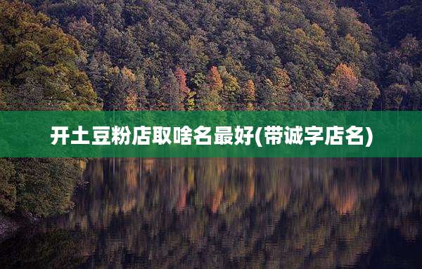 开土豆粉店取啥名最好(带诚字店名)