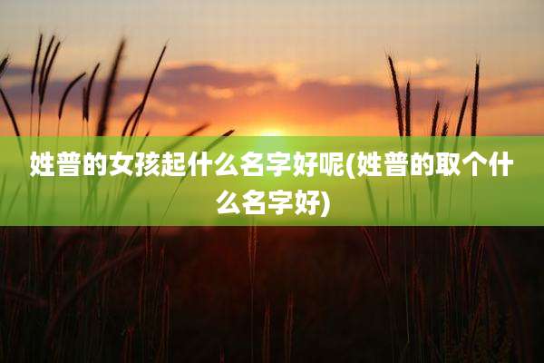 姓普的女孩起什么名字好呢(姓普的取个什么名字好)