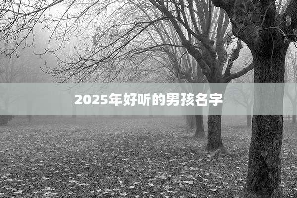 2025年好听的男孩名字