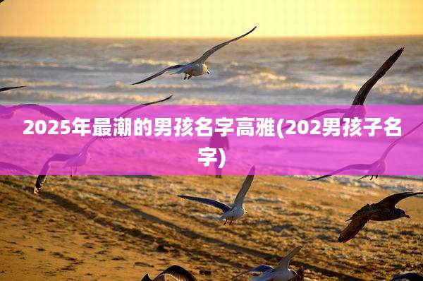 2025年最潮的男孩名字高雅(202男孩子名字)