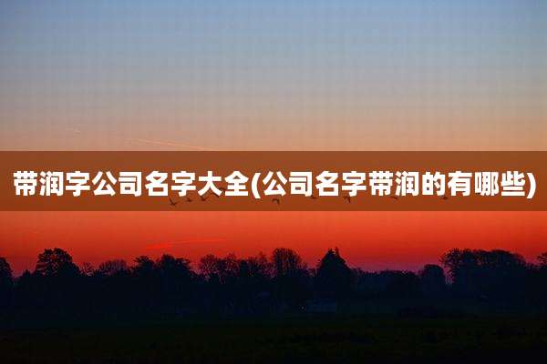 带润字公司名字大全(公司名字带润的有哪些)