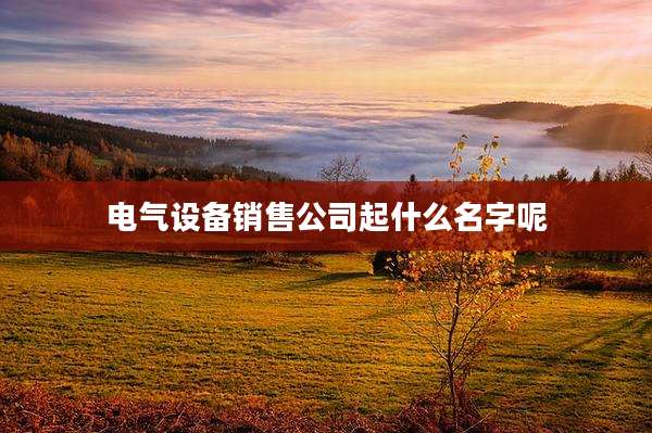 电气设备销售公司起什么名字呢