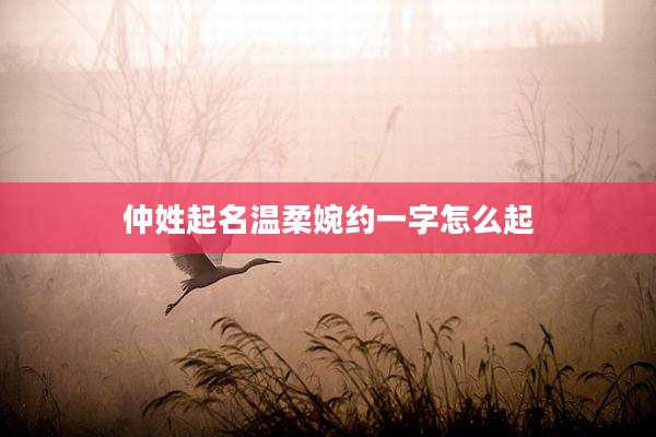 仲姓起名温柔婉约一字怎么起