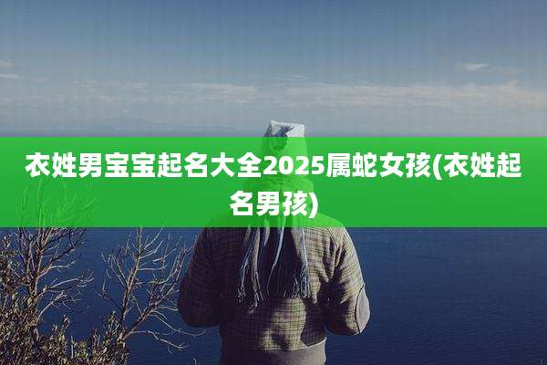 衣姓男宝宝起名大全2025属蛇女孩(衣姓起名男孩)