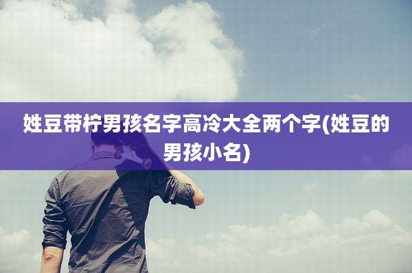 姓豆带柠男孩名字高冷大全两个字(姓豆的男孩小名)