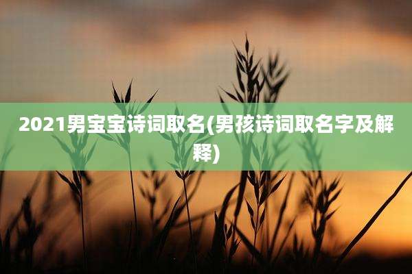 2021男宝宝诗词取名(男孩诗词取名字及解释)