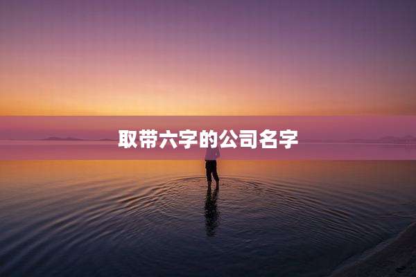 取带六字的公司名字