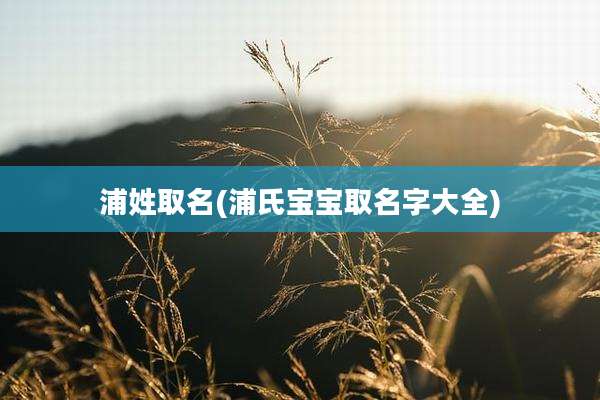 浦姓取名(浦氏宝宝取名字大全)