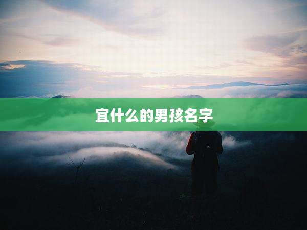 宜什么的男孩名字