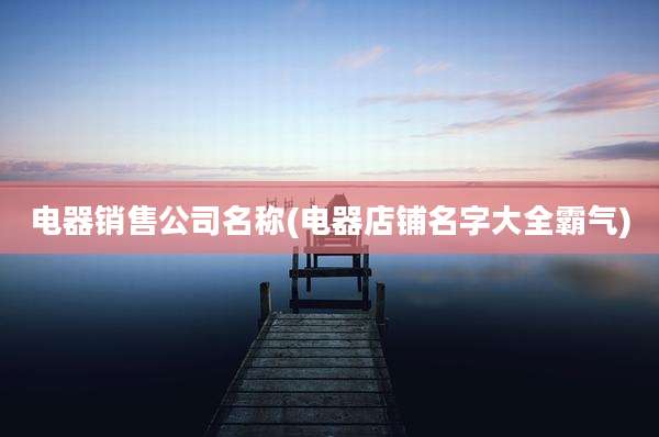 电器销售公司名称(电器店铺名字大全霸气)