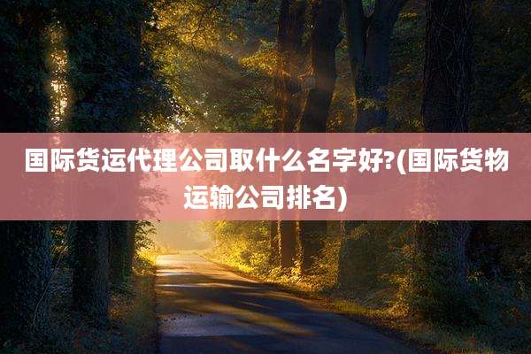 国际货运代理公司取什么名字好?(国际货物运输公司排名)