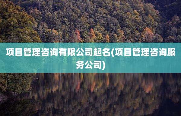 项目管理咨询有限公司起名(项目管理咨询服务公司)