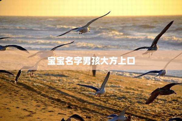宝宝名字男孩大方上口