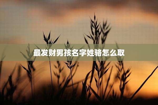 最发财男孩名字姓骆怎么取