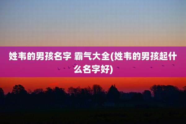 姓韦的男孩名字 霸气大全(姓韦的男孩起什么名字好)